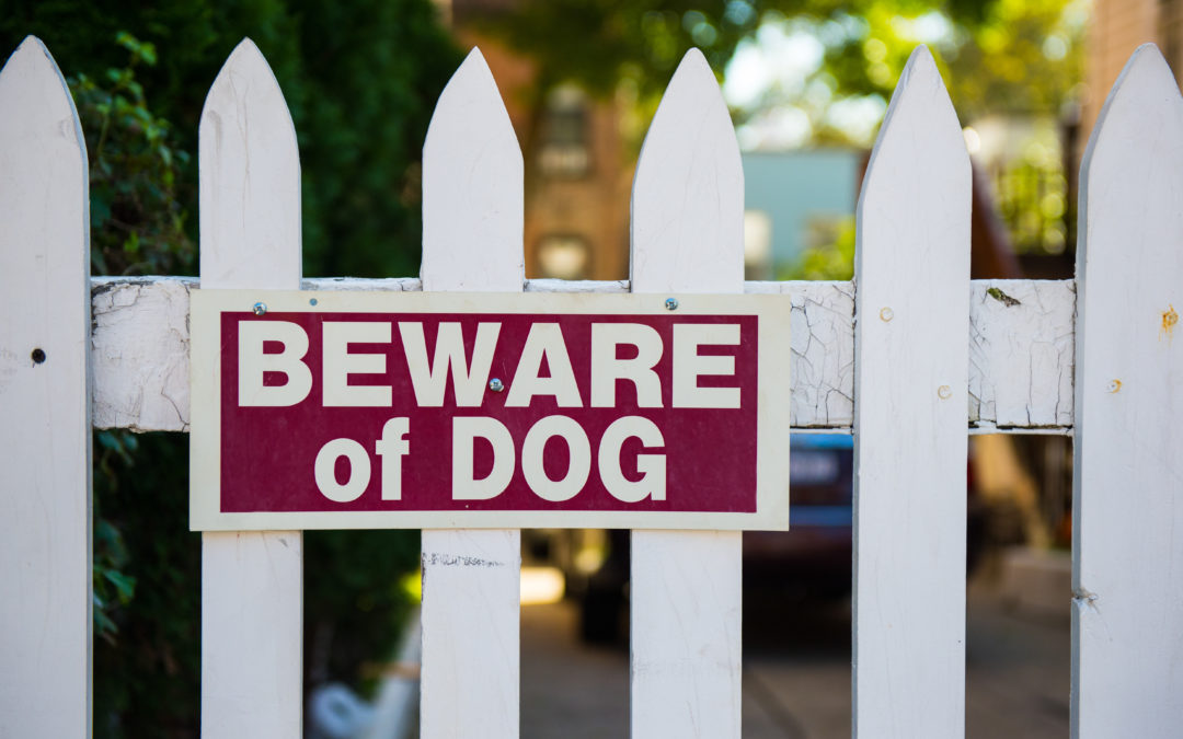 When Man’s Best Friend Bites: Kansas City Injury Attorney Offers Information Regarding Dog Bites