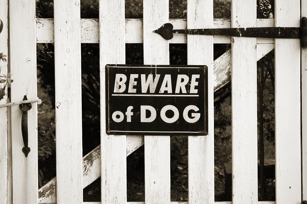Who Is Liable For Dangerous Dog Attacks In Missouri?