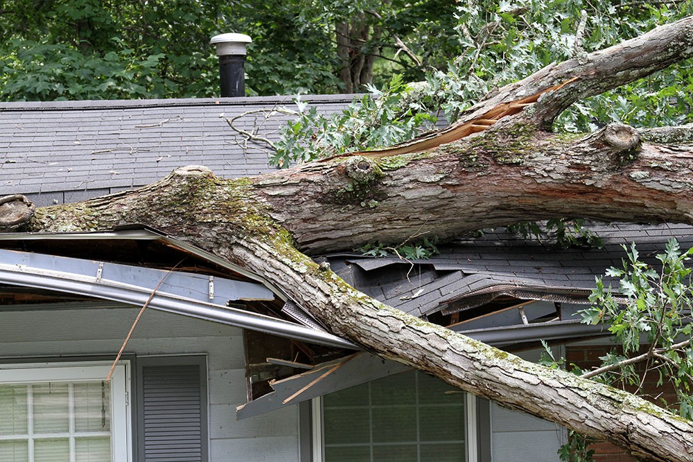 wind damage kansas cityy